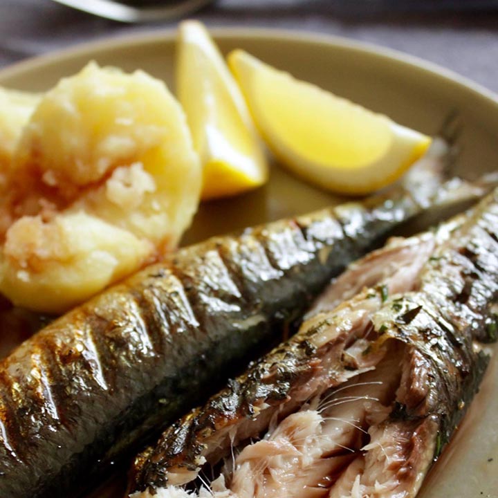 焼き魚 Grilled-fish